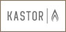 Печи Kastor